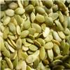 2011 chinese white pumpkin seeds and kernels price