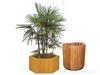 BH137-6 Baihe outdoor flowerpot , imported African