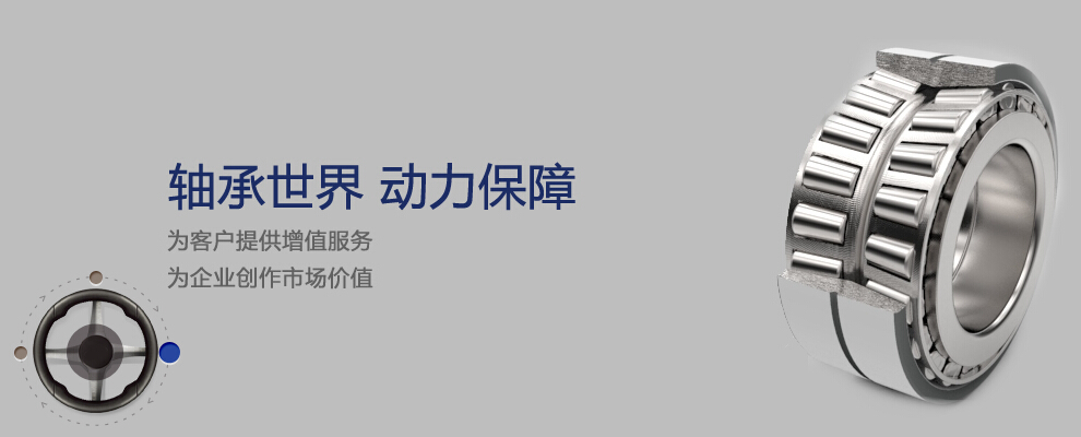 SKF轴承供应商|上海SKF总代理|上海skf轴承代理商|上海skf轴承经销商