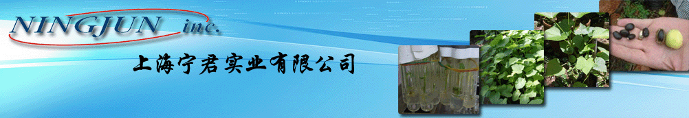 上海宁君实业有限公司 