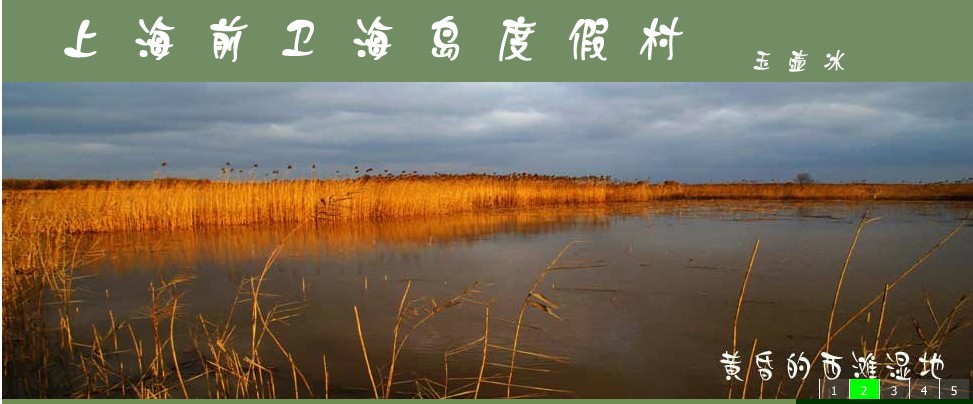 上海崇明度假村-上海玉壶冰餐饮有限公司