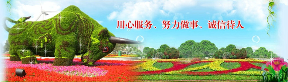 郑州花艺盆景工程有限公司