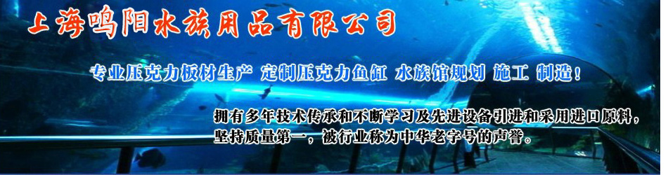 大型亚克力鱼缸-大型鱼缸定做-鱼缸定做-上海鸣阳水族用品有限公司