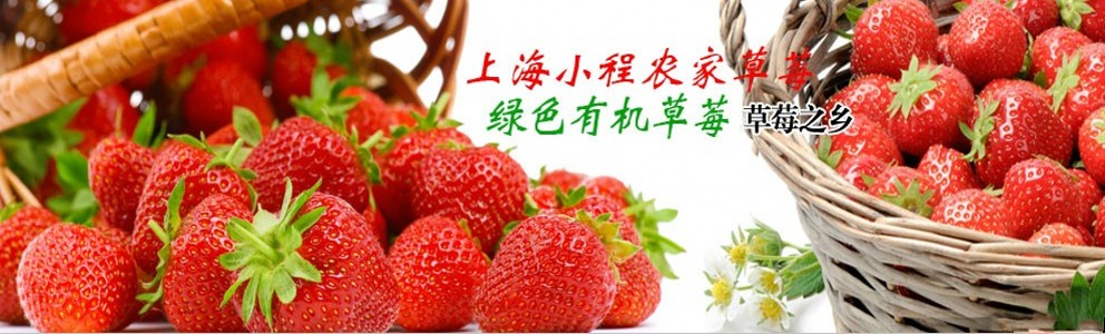 上海小程农家草莓园