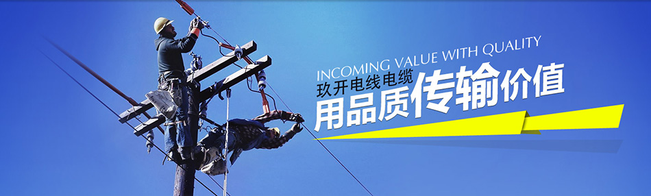 拖链电缆-光伏电缆-上海玖开电线电缆有限公司
