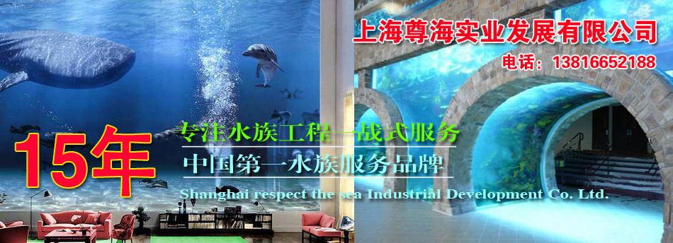 上海有机玻璃有限公司-专业亚克力鱼缸定做厂家