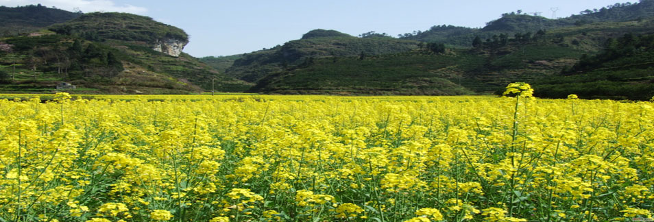 巩义市钰兴矿山粮油机械厂