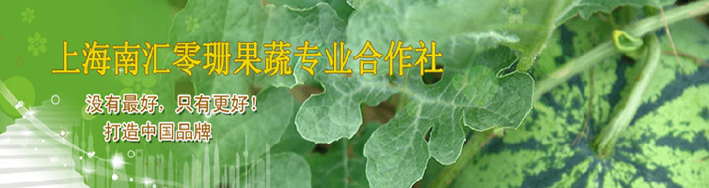 上海南汇零珊果蔬专业合作社