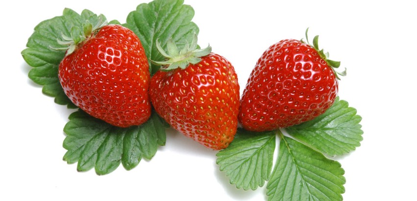 采摘新鲜草莓-体验农家生活