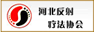 河北反射疗法协会