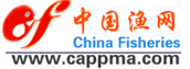 中国渔网