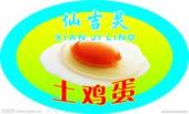 山西土鸡蛋销售有限公司
