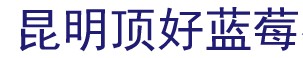 http://yndh.ebdoor.com/