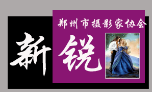新锐职业学校