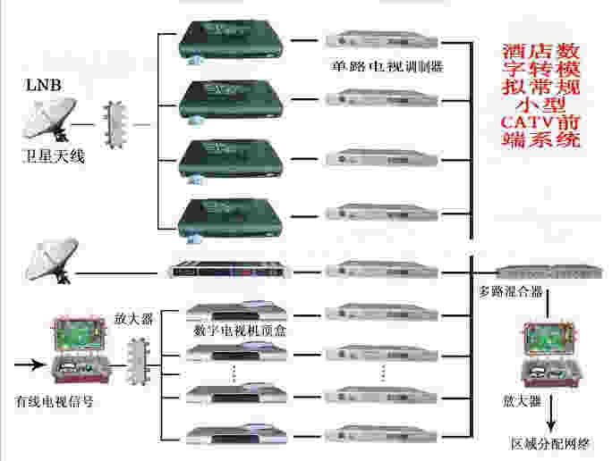 一比多