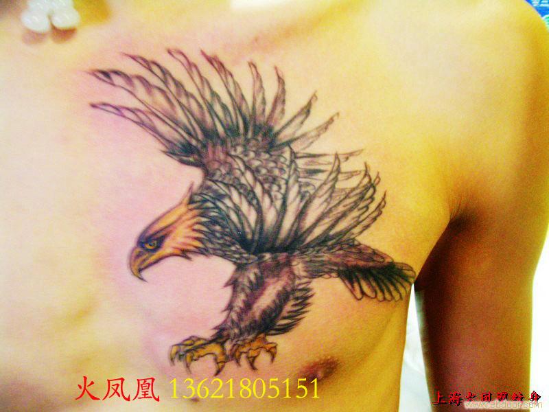老鹰纹身图片_相关信息
